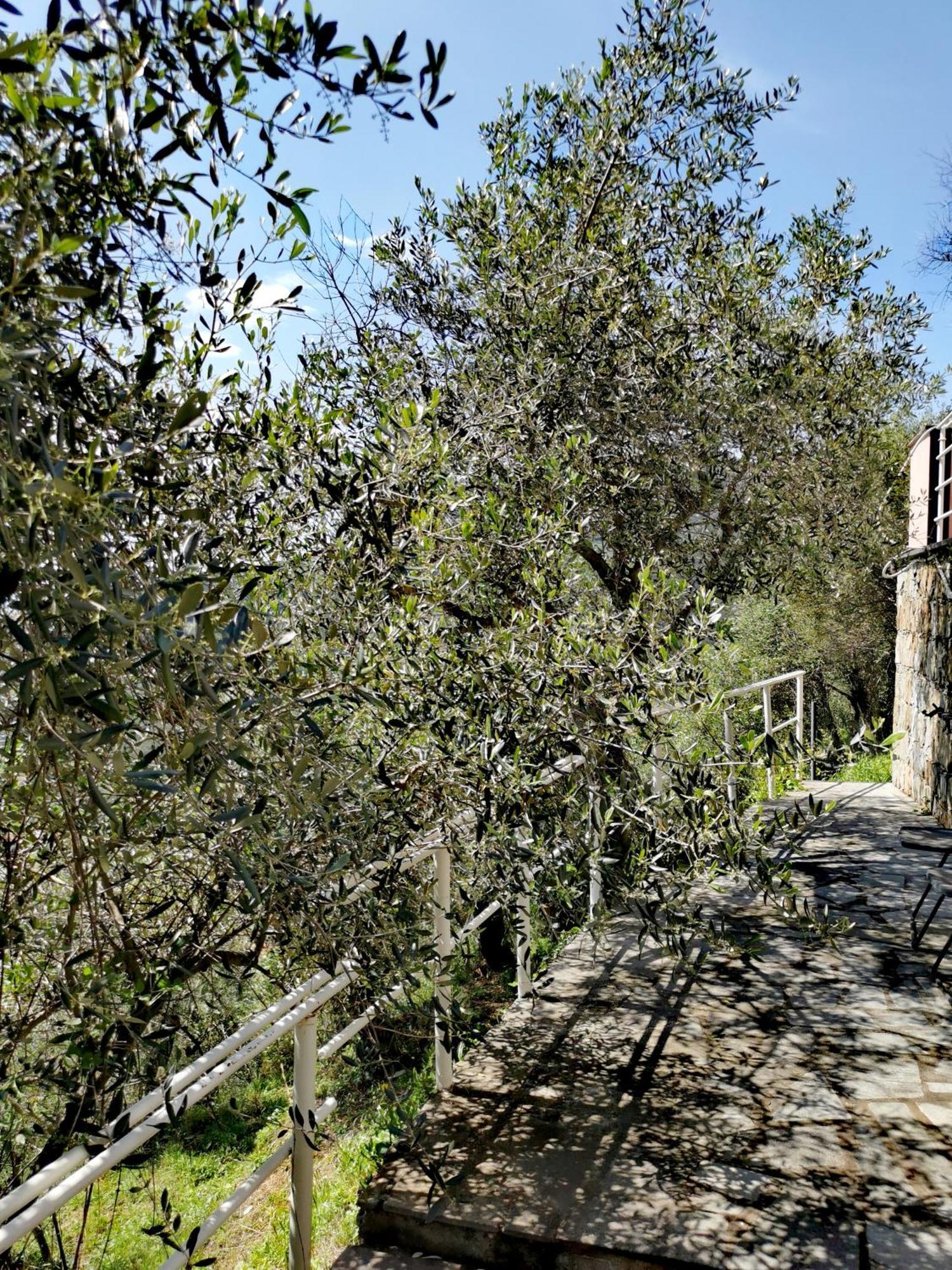 Casun Du Menegottu Villa Sestri Levante Kültér fotó